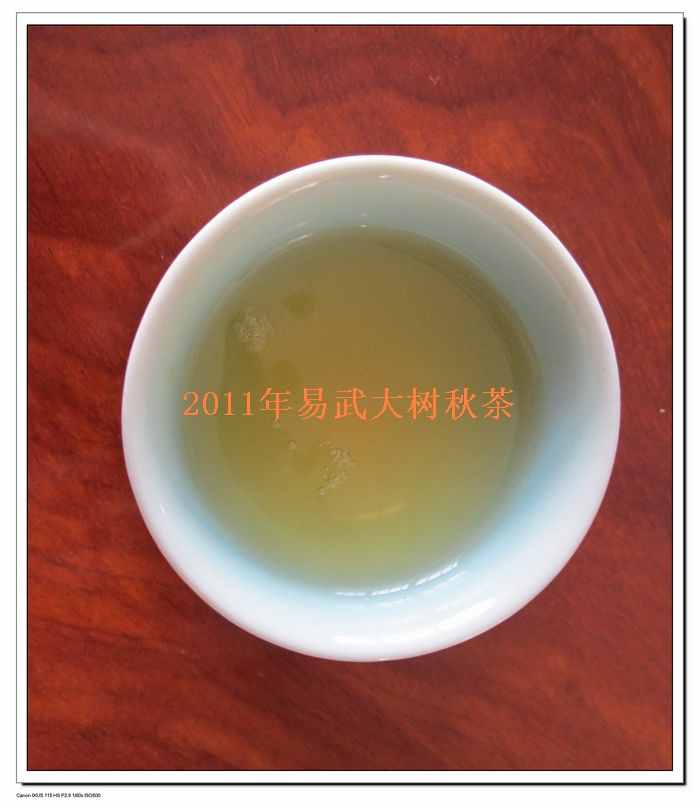 2011秋茶图片7.jpg